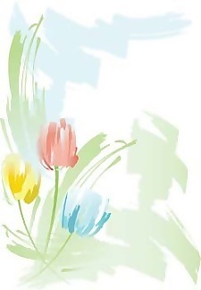 郁金香花18
