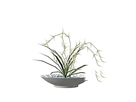 植物盆栽室內(nèi)裝飾素材免費下載3d模型素材 25