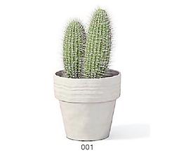 植物盆栽室內(nèi)裝飾素材免費下載3d模型素材 33