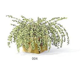 植物盆栽室內(nèi)裝飾素材免費(fèi)下載盆栽3d模型免費(fèi)下載 37