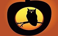 猫头鹰的万圣节南瓜