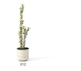 植物盆栽室內(nèi)裝飾素材免費(fèi)下載3d模型素材 45
