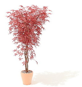 植物盆栽室內(nèi)裝飾素材免費下載3d模型素材 24