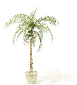 植物盆栽室內(nèi)裝飾素材免費(fèi)下載盆栽3d模型免費(fèi)下載 57