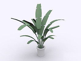 植物盆栽室內(nèi)裝飾素材免費(fèi)下載3d模型素材 32