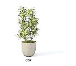 植物盆栽室內(nèi)裝飾素材免費(fèi)下載盆栽3d模型免費(fèi)下載 39