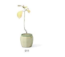 植物盆栽室內(nèi)裝飾素材免費(fèi)下載室內(nèi)盆栽模型 44