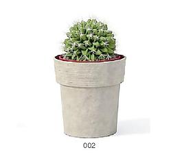 植物盆栽室內(nèi)裝飾素材免費(fèi)下載盆栽3d模型免費(fèi)下載 34