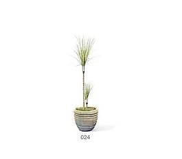 植物盆栽室內(nèi)裝飾素材免費下載盆栽3d模型素材 59