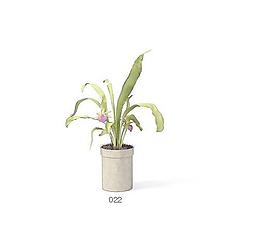 植物盆栽室內(nèi)裝飾素材免費下載3d模型素材 56