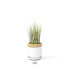 植物盆栽室內(nèi)裝飾素材免費下載盆栽3d模型免費下載 60