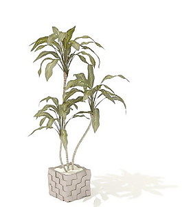 植物盆栽室內裝飾素材免費下載盆栽3d模型素材 101