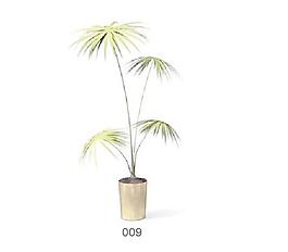 植物盆栽室內(nèi)裝飾素材免費下載3d模型素材 42