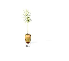 植物盆栽室內(nèi)裝飾素材免費下載3d模型素材 71