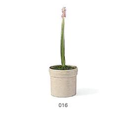 植物盆栽室內(nèi)裝飾素材免費(fèi)下載室內(nèi)盆栽模型 50