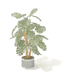 植物盆栽室內(nèi)裝飾素材免費下載3d模型素材 79