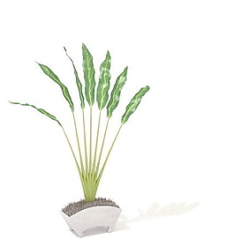 植物盆栽室內(nèi)裝飾素材免費下載盆栽3d模型免費下載 113