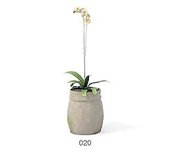 植物盆栽室內(nèi)裝飾素材免費(fèi)下載盆栽3d模型免費(fèi)下載 54