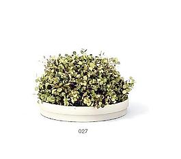 植物盆栽室內(nèi)裝飾素材免費(fèi)下載盆栽3d模型素材 62