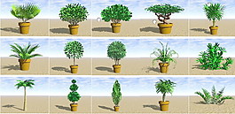 植物盆栽室內裝飾素材免費下載盆栽3d模型素材 129