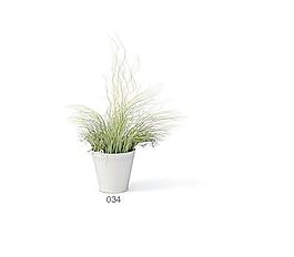 植物盆栽室內(nèi)裝飾素材免費下載盆栽3d模型素材 70