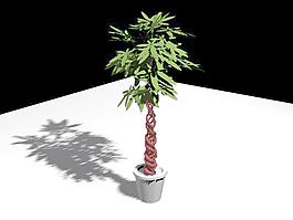 植物盆栽室內(nèi)裝飾素材免費下載3d模型素材 115