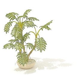 植物盆栽室內(nèi)裝飾素材免費(fèi)下載3d模型素材 90