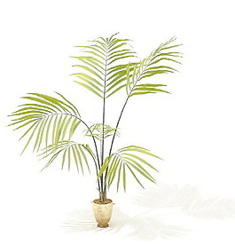 植物盆栽室內(nèi)裝飾素材免費(fèi)下載3d模型素材 112
