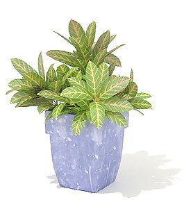 植物盆栽室內(nèi)裝飾素材免費(fèi)下載3d模型素材 157