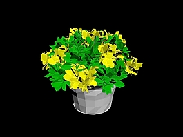 植物盆栽室內(nèi)裝飾素材免費(fèi)下載3d模型素材 114