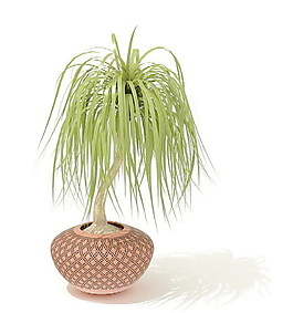 植物盆栽室內(nèi)裝飾素材免費(fèi)下載盆栽3d模型素材 148