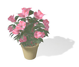 植物盆栽室內(nèi)裝飾素材免費(fèi)下載3d模型素材 201