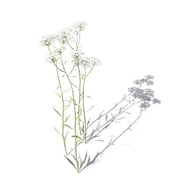 植物花草裝飾素材室內(nèi)裝飾用品素材3d模型素材 1