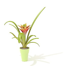 植物盆栽室內(nèi)裝飾素材免費(fèi)下載盆栽3d模型免費(fèi)下載 179