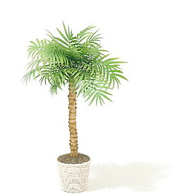 植物盆栽室內(nèi)裝飾素材免費下載3d模型素材 184