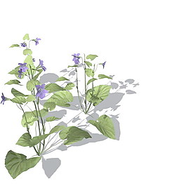 植物花草裝飾素材室內裝飾用品素材室內裝飾素材 17