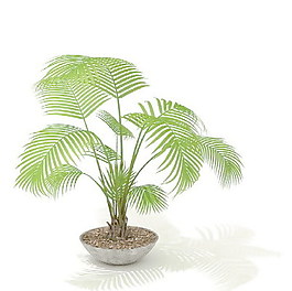 植物盆栽室內裝飾素材免費下載盆栽3d模型素材 162
