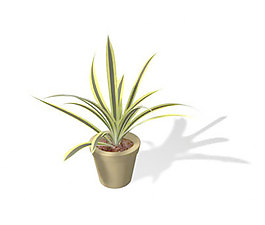 植物盆栽室內(nèi)裝飾素材免費(fèi)下載3d模型素材 199