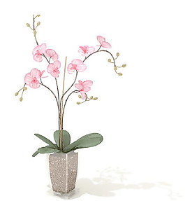 植物盆栽室內(nèi)裝飾素材免費下載盆栽3d模型免費下載 166