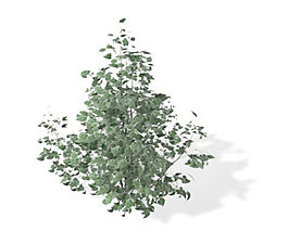 植物盆栽室內(nèi)裝飾素材免費(fèi)下載盆栽3d模型免費(fèi)下載 196