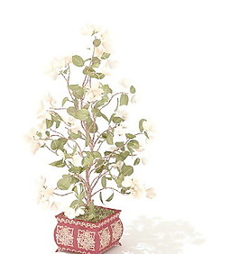 植物盆栽室內(nèi)裝飾素材免費(fèi)下載盆栽3d模型免費(fèi)下載 182