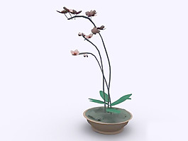 植物盆栽室內(nèi)裝飾素材免費(fèi)下載盆栽3d模型免費(fèi)下載 212
