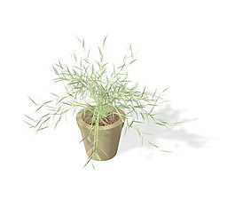 植物盆栽室內(nèi)裝飾素材免費下載室內(nèi)盆栽模型 190
