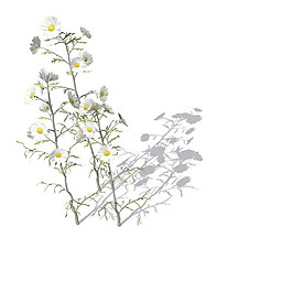 植物花草裝飾素材室內裝飾用品素材室內裝飾素材 7