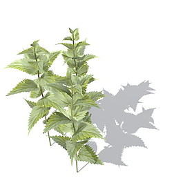 植物花草裝飾素材室內(nèi)裝飾用品素材室內(nèi)裝飾素材 15