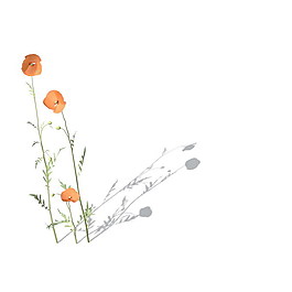 植物花草裝飾素材室內(nèi)裝飾用品素材花草模型 8