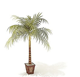 植物盆栽室內裝飾素材免費下載盆栽3d模型素材 206