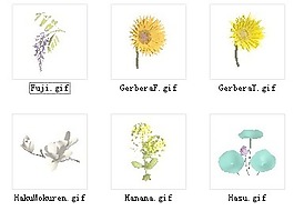 植物花草裝飾素材室內裝飾用品素材花草3d模型下載 19