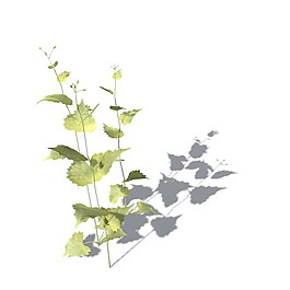 植物花草裝飾素材室內裝飾用品素材花草模型 16