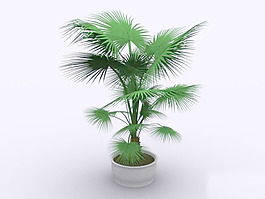 植物盆栽室內(nèi)裝飾素材免費下載盆栽3d模型素材 214